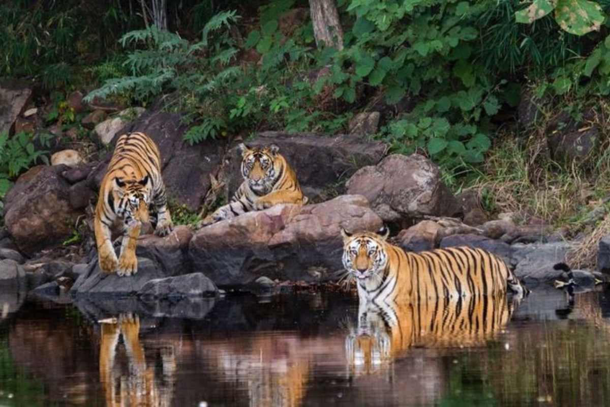 Untitled design - 2026-04-07T172134.344