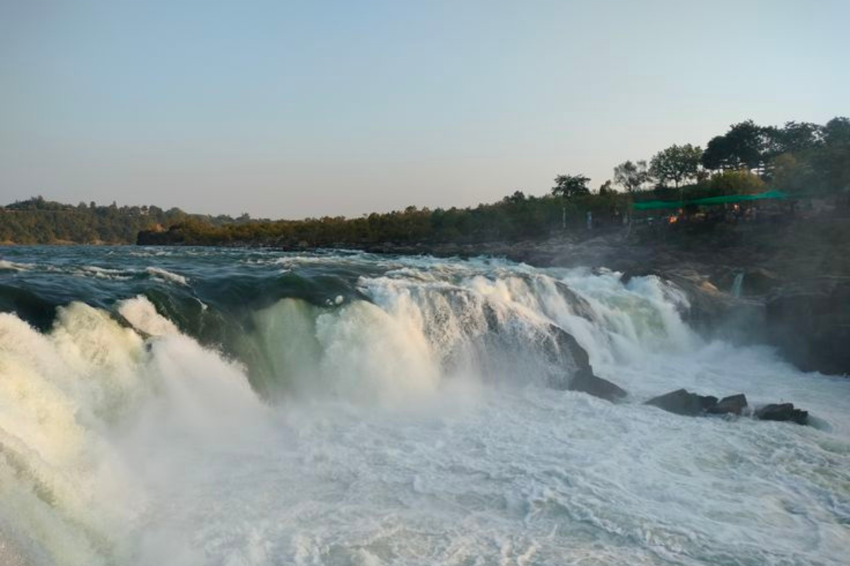 Untitled design - 2026-04-07T172525.502